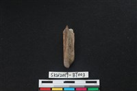 骨鑿藏品圖，第1張