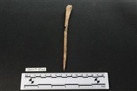 骨尖器藏品圖，第1張