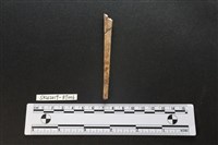 骨尖器藏品圖，第1張