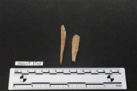 骨尖器藏品圖，第1張