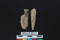 骨尖器藏品圖，第1張