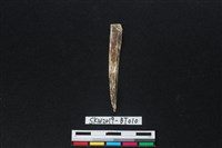 骨尖器藏品圖，第2張