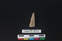 骨尖器藏品圖，第1張