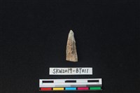 骨尖器藏品圖，第2張