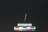 骨尖器藏品圖，第1張