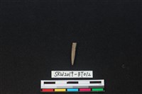 骨尖器藏品圖，第2張