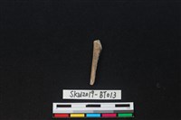 骨尖器藏品圖，第2張