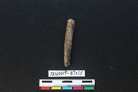 骨尖器藏品圖，第1張