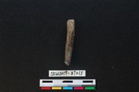 骨尖器藏品圖，第2張