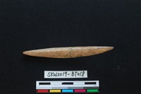 魚卡子藏品圖，第1張