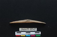 魚卡子藏品圖，第3張