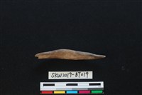 魚卡子藏品圖，第2張