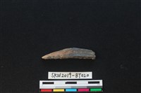 魚卡子藏品圖，第2張