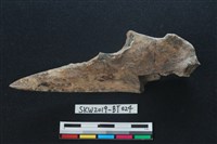 尺骨尖器藏品圖，第1張