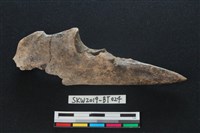 尺骨尖器藏品圖，第2張