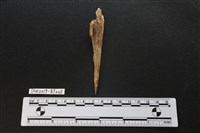 骨尖器藏品圖，第2張