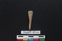 骨尖器藏品圖，第1張