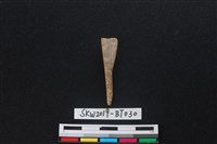 骨尖器藏品圖，第2張