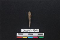 骨尖器藏品圖，第1張