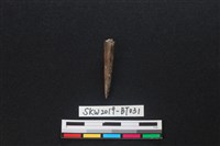 骨尖器藏品圖，第2張