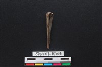 骨尖器藏品圖，第2張