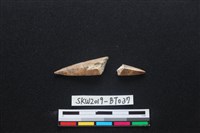 魚卡子藏品圖，第1張