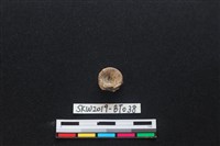 魚骨珠藏品圖，第2張