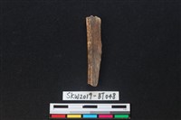 骨尖器殘件藏品圖，第2張