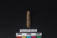 骨尖器殘件藏品圖，第2張