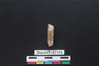 骨尖器殘件藏品圖，第2張