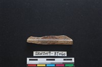 磨製骨器藏品圖，第2張