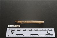 磨製骨器藏品圖，第1張