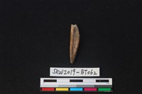 尖狀器藏品圖，第1張