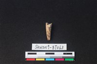 尖狀器藏品圖，第2張