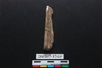 磨製骨鑿藏品圖，第1張