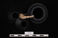 人骨藏品圖，第2張