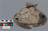 罐形器藏品圖，第2張