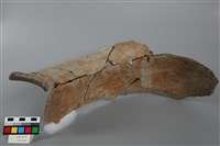 罐形器藏品圖，第2張