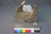 陶罐藏品圖，第2張