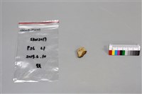 陶片藏品圖，第1張