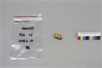 陶片藏品圖，第2張