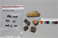 陶片藏品圖，第1張