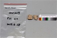 陶片藏品圖，第1張