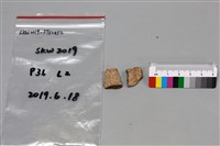 陶片藏品圖，第2張