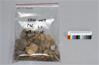 陶片藏品圖，第1張