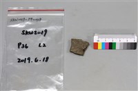 陶片藏品圖，第2張