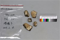 陶片藏品圖，第2張