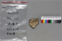 陶片藏品圖，第1張