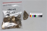 陶片藏品圖，第1張