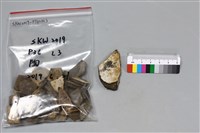 陶片藏品圖，第2張